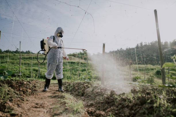 Best Pest Prevention Services  in Lima, OH