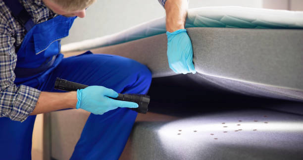 Best Affordable Pest Control Services  in Lima, OH