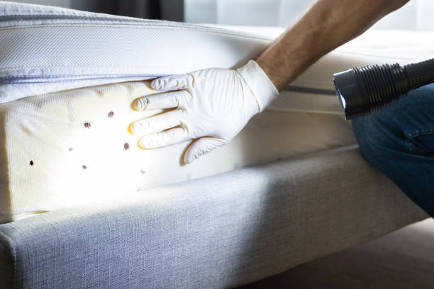 Best Residential Pest Control  in Lima, OH